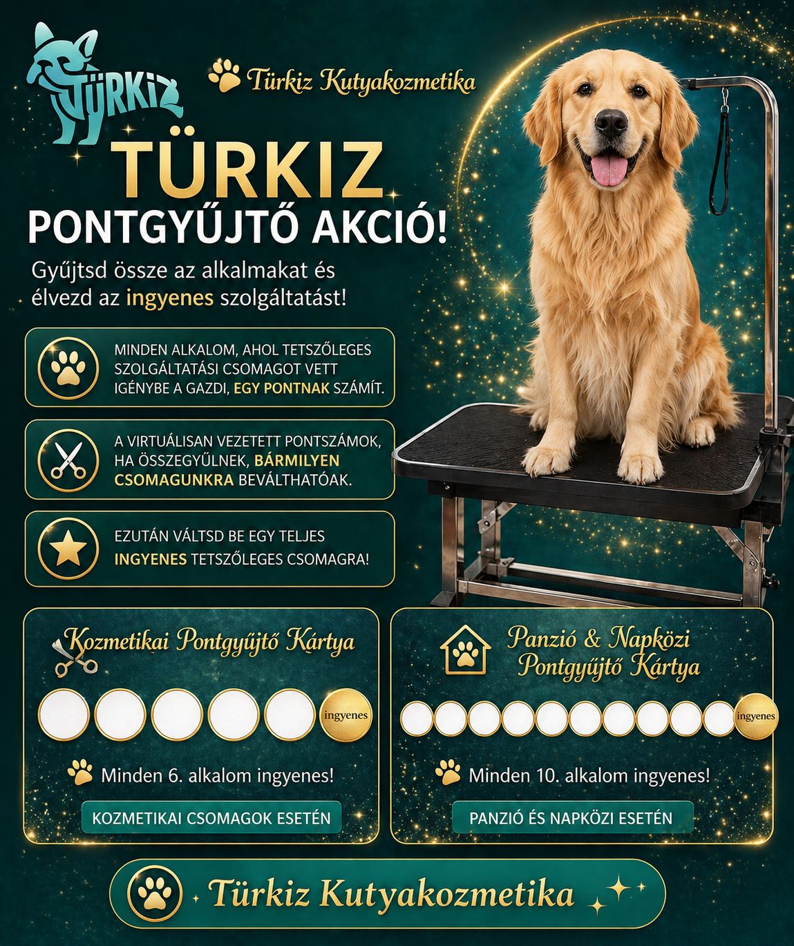 Türkiz Pontgyűjtő Akció